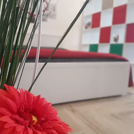 Italy Santa Rita Apartment